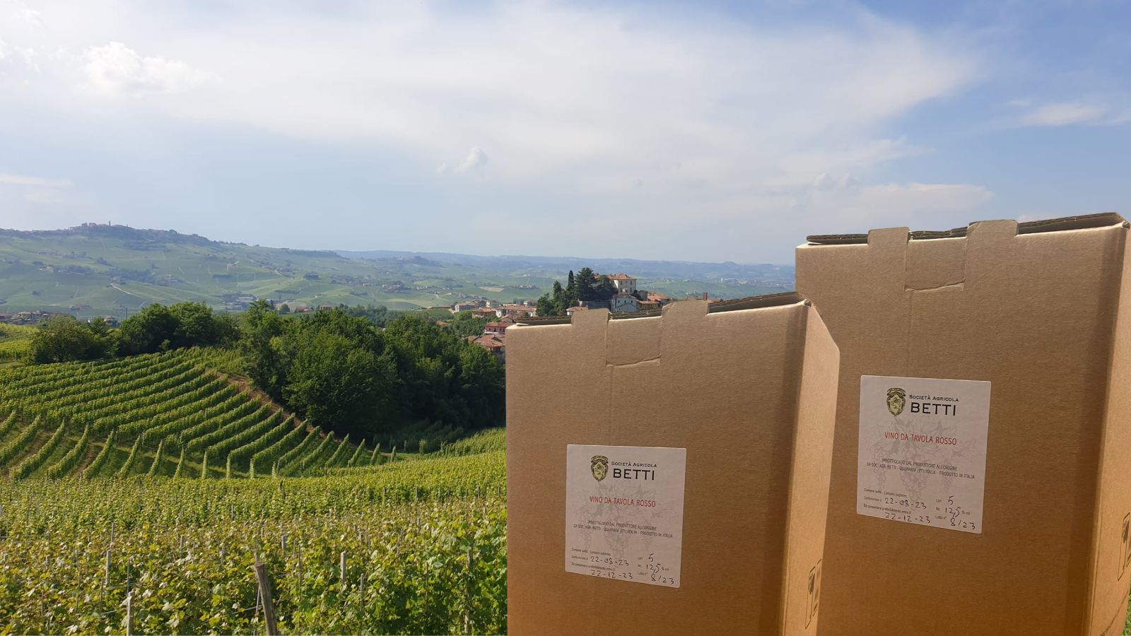 VINO IN BAG IN BOX