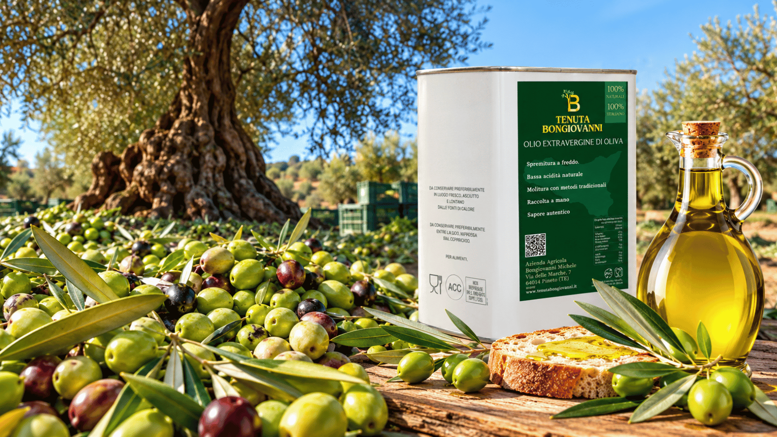 TENUTA BONGIOVANNI banner